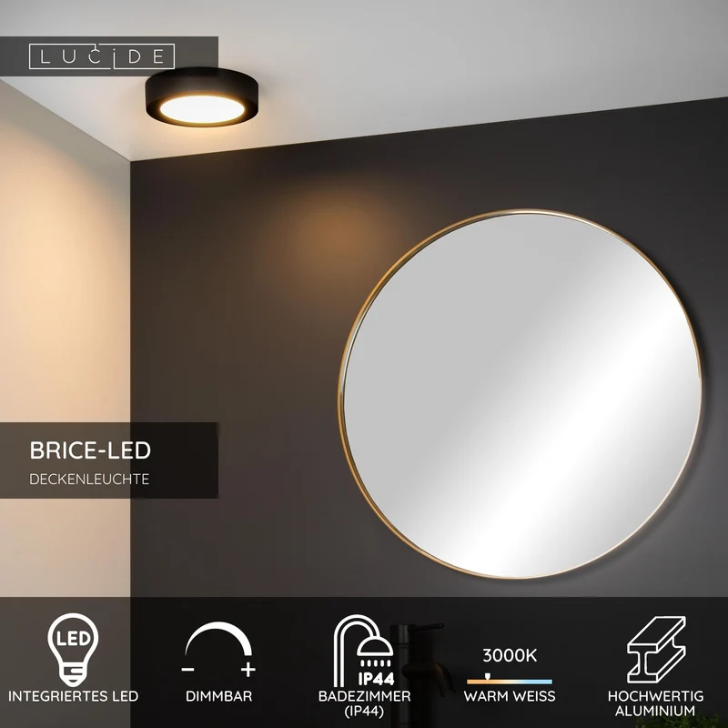 LED-Deckenleuchte Brice dimmbar IP44 rund Ø18cm