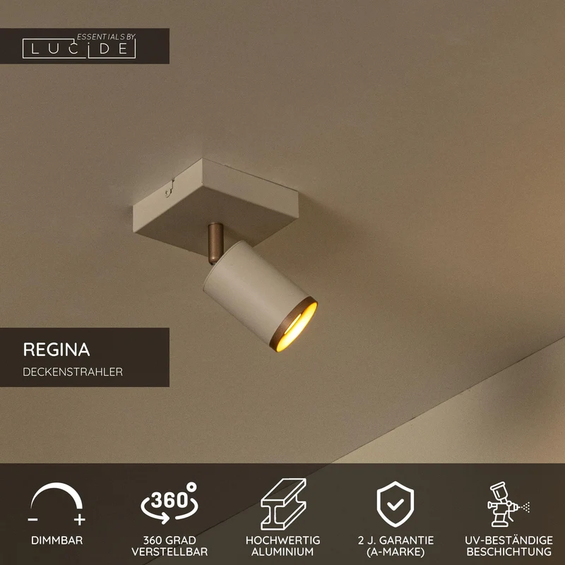 Deckenspot Regina 1-flammig schwenkbar Taupe