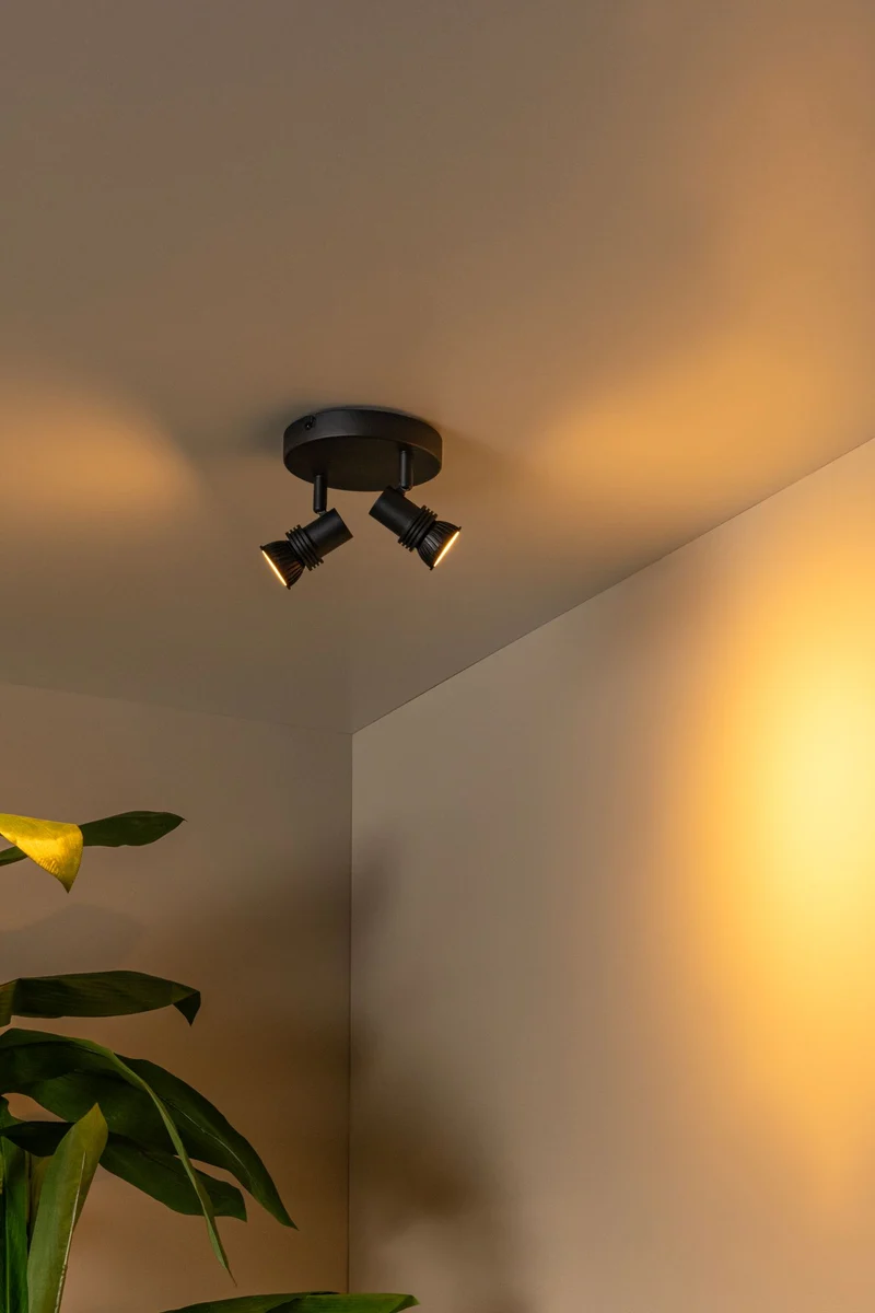 Deckenstrahler Kianti 2-flammig drehbar