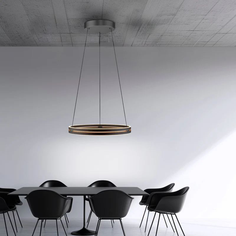 Paul Neuhaus - Pendelleuchte Pure E-Loop LED