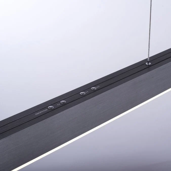 Paul Neuhaus - Pendelleuchte Pure Moto e-Slide
