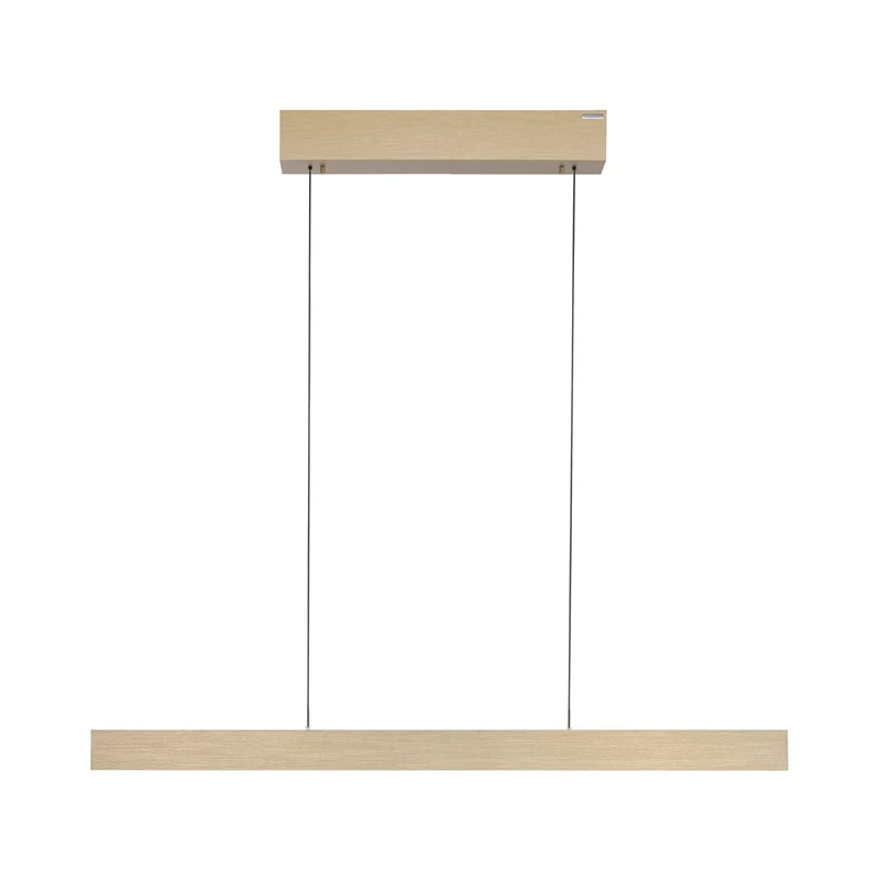 Paul Neuhaus - Pendelleuchte Pure E-Motion