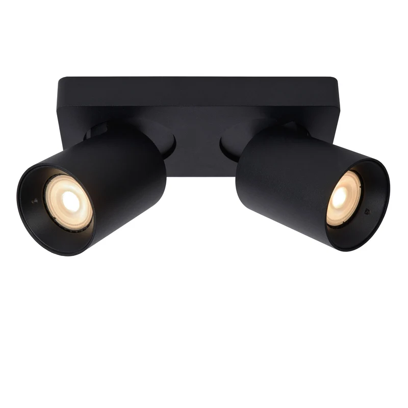 LED-Deckenstrahler Nigel 2-flammig dimmbar