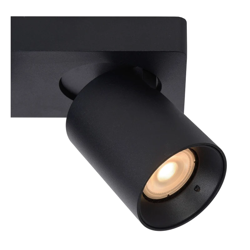 LED-Deckenstrahler Nigel 2-flammig dimmbar