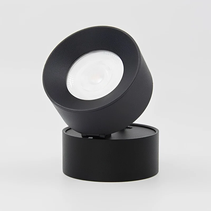 Verstelbare LED Buitenlamp Rond Zwart Waterdicht IP65 Wandverlichting Veranda Tuin Terras 360° Draaibaar | Sansoti