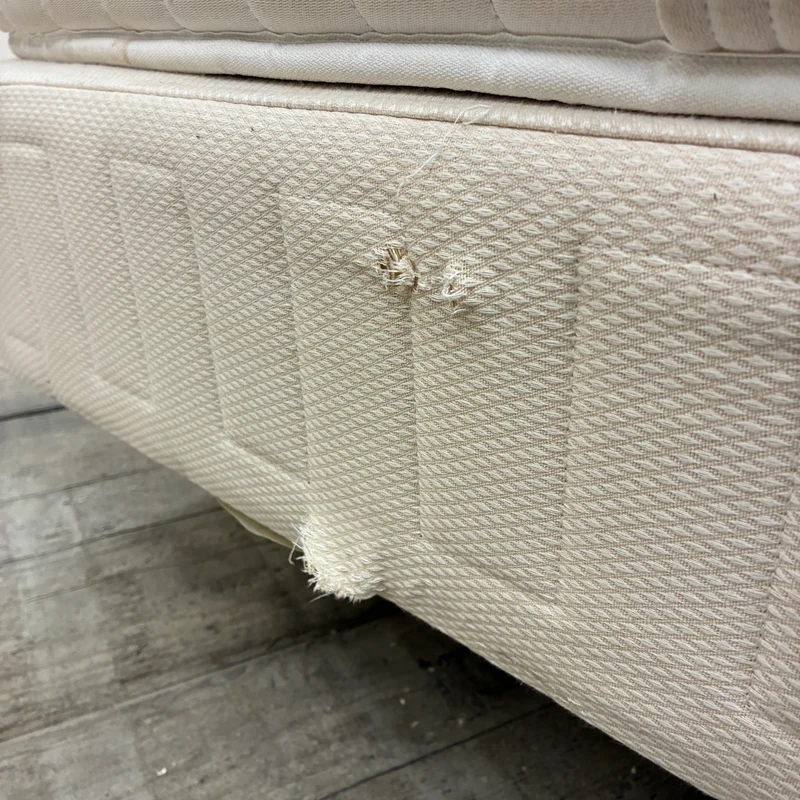 Boxspringbett inklusive Matratze 150x200 Polsterbett Creme Gebraucht