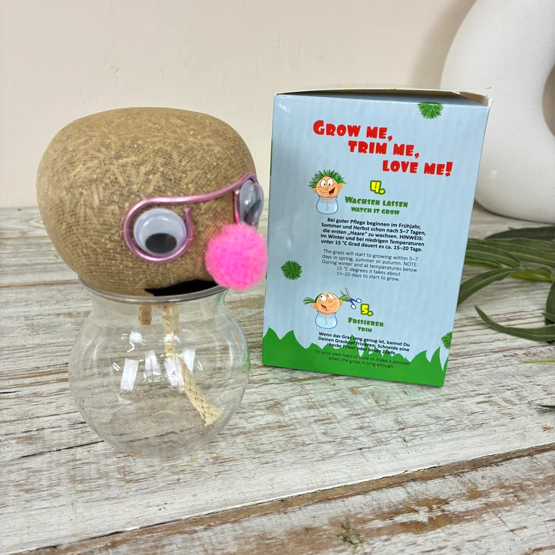 Graskopf Im Glas Rosa 12cm Gesicht Pflanze Pflanz-Set Grasgesicht Deko