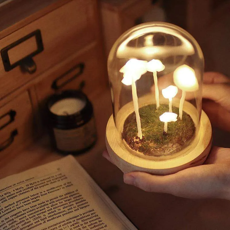 DIY Paddenstoellamp Glas & Hout – Magische Sfeerverlichting Tafellamp Warm Wit Woon- & Slaapkamer Decoratief | Sansoti