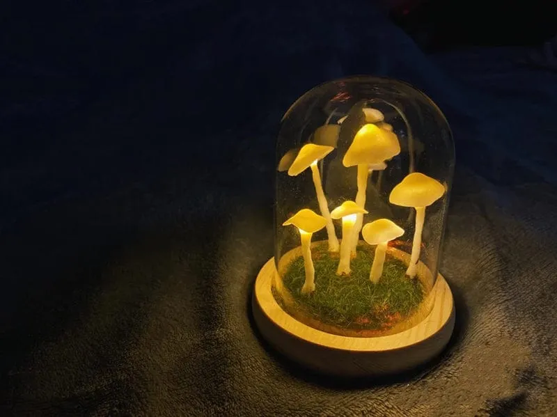 DIY Paddenstoellamp Glas & Hout – Magische Sfeerverlichting Tafellamp Warm Wit Woon- & Slaapkamer Decoratief | Sansoti
