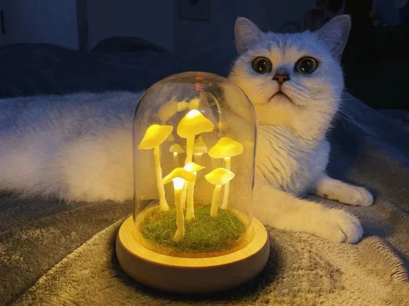 DIY Paddenstoellamp Glas & Hout – Magische Sfeerverlichting Tafellamp Warm Wit Woon- & Slaapkamer Decoratief | Sansoti