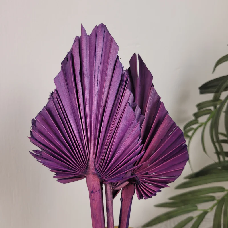 Deko Palmblätter Bündel 4 Stück Lila Getrocknet Boho Blumen Dekoration Neu