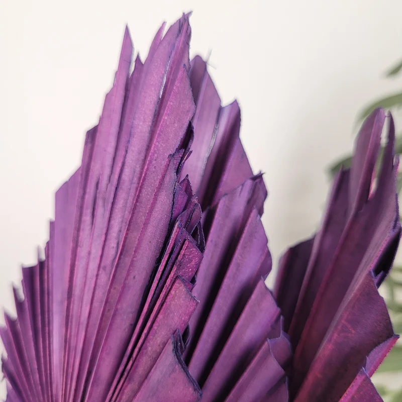 Deko Palmblätter Bündel 4 Stück Lila Getrocknet Boho Blumen Dekoration Neu