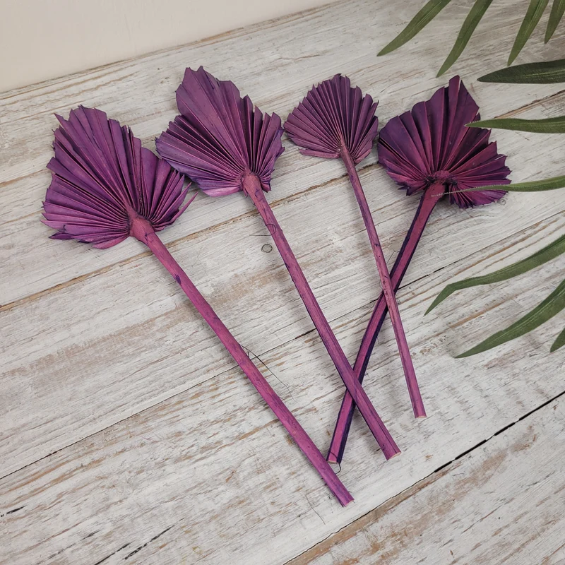 Deko Palmblätter Bündel 4 Stück Lila Getrocknet Boho Blumen Dekoration Neu