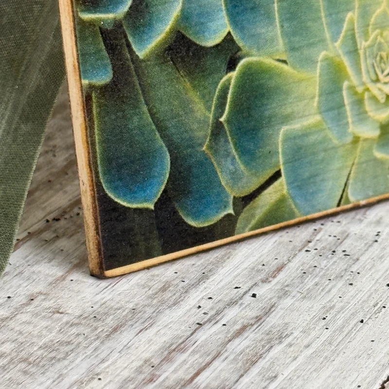 Untersetzer Sukkulente Echeveria Holz Quadratisch 10x10 Deko Küchenbedarf