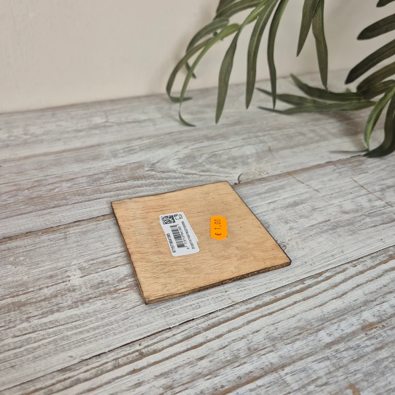 Untersetzer Sukkulente Agave Holz Quadratisch 10x10 Deko Küchenbedarf