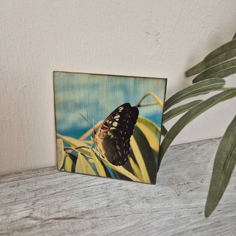 Untersetzer Schmetterling Kleiner Fuchs Holz 10 x 10 cm
