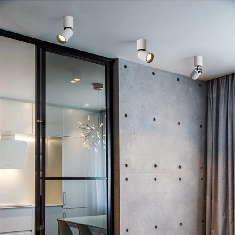 Verstelbare Opbouw Plafondspot Rond LED Dimbaar Zwart Wit Richtbare Downlight Aluminium voor Woonkamer | Sansoti