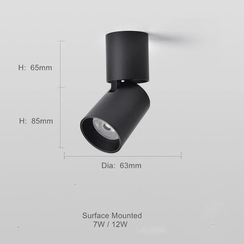 Verstelbare Opbouw Plafondspot Rond LED Dimbaar Zwart Wit Richtbare Downlight Aluminium voor Woonkamer | Sansoti