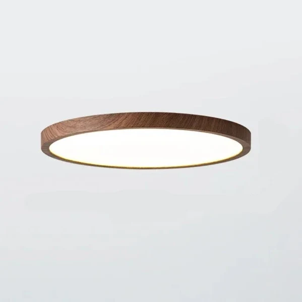Plafondlamp Laag Plafond Ultra Plat 2,5 cm Dik, Rond 30 cm LED Ingebouwd, 3 Lichtstanden via Wandschakelaar | Sansoti