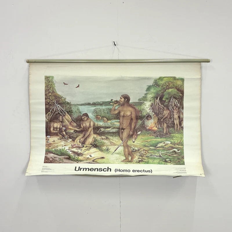 Vintage Schulwandkarte „Urmensch (Homo erectus)“ – Lehrtafel Rollbild Wanddeko