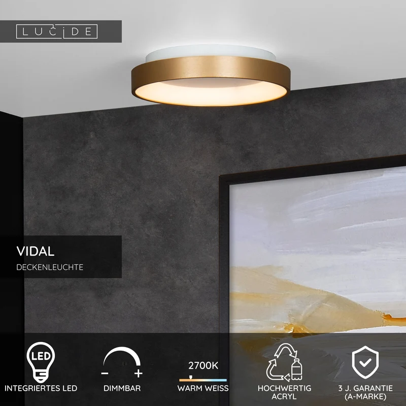 LED-Deckenleuchte Vidal dimmbar Ø 28cm