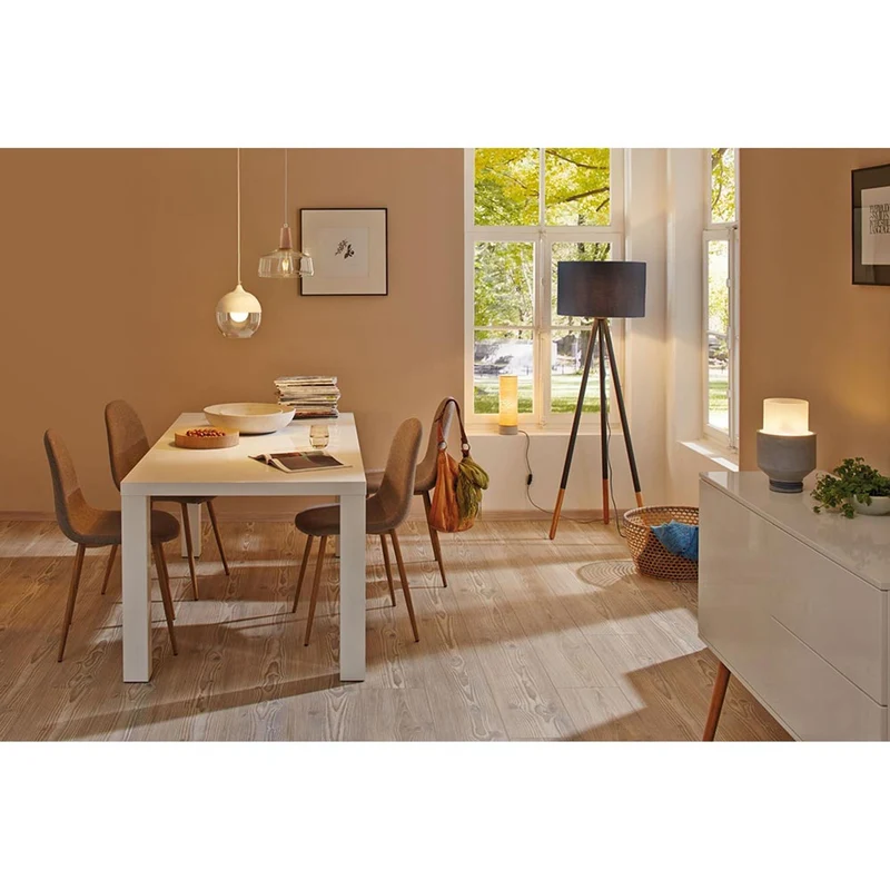 E27 9W LED Globe Filament Dimmbar 2700K Opal