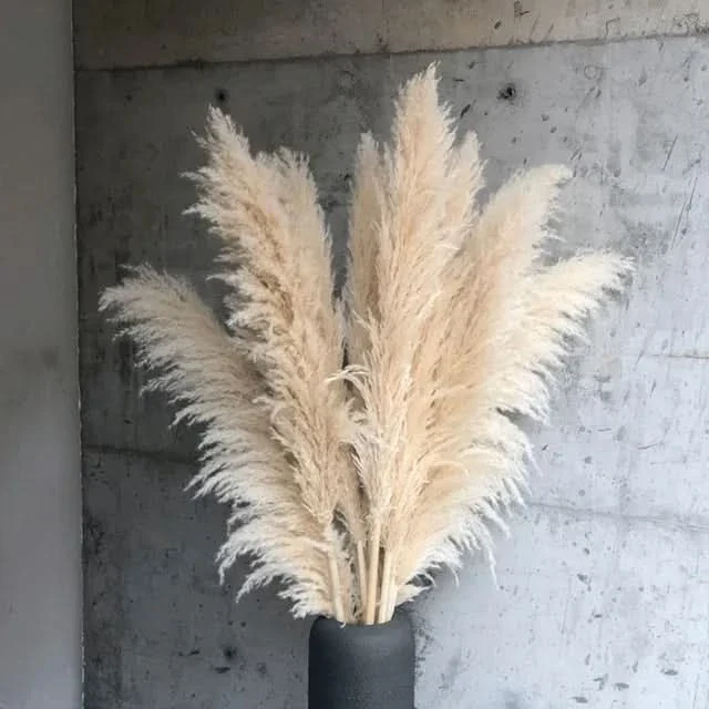 Decoratieve Pampasgrassen 65cm – Kunstdecoratie Boho Stijl voor Vaas Interieur Woonkamer Scandinavisch | Sansoti