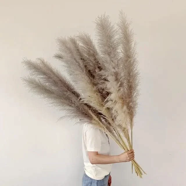 Decoratieve Pampasgrassen 65cm – Kunstdecoratie Boho Stijl voor Vaas Interieur Woonkamer Scandinavisch | Sansoti