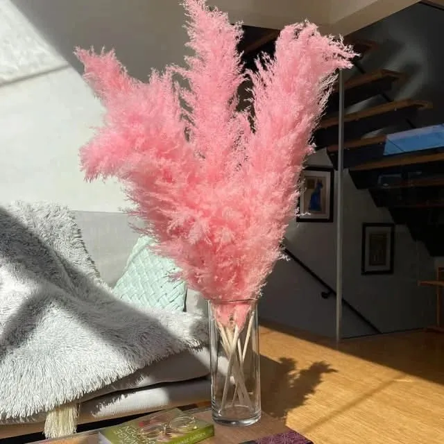 Decoratieve Pampasgrassen 65cm – Kunstdecoratie Boho Stijl voor Vaas Interieur Woonkamer Scandinavisch | Sansoti