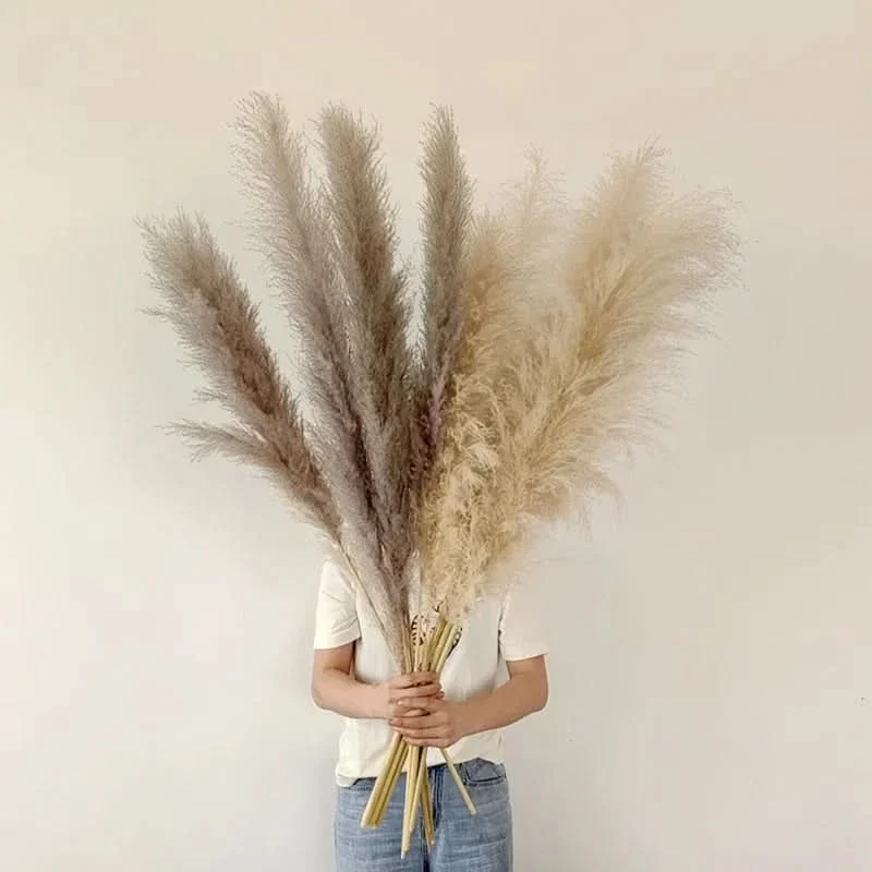 Decoratieve Pampasgrassen 65cm – Kunstdecoratie Boho Stijl voor Vaas Interieur Woonkamer Scandinavisch | Sansoti