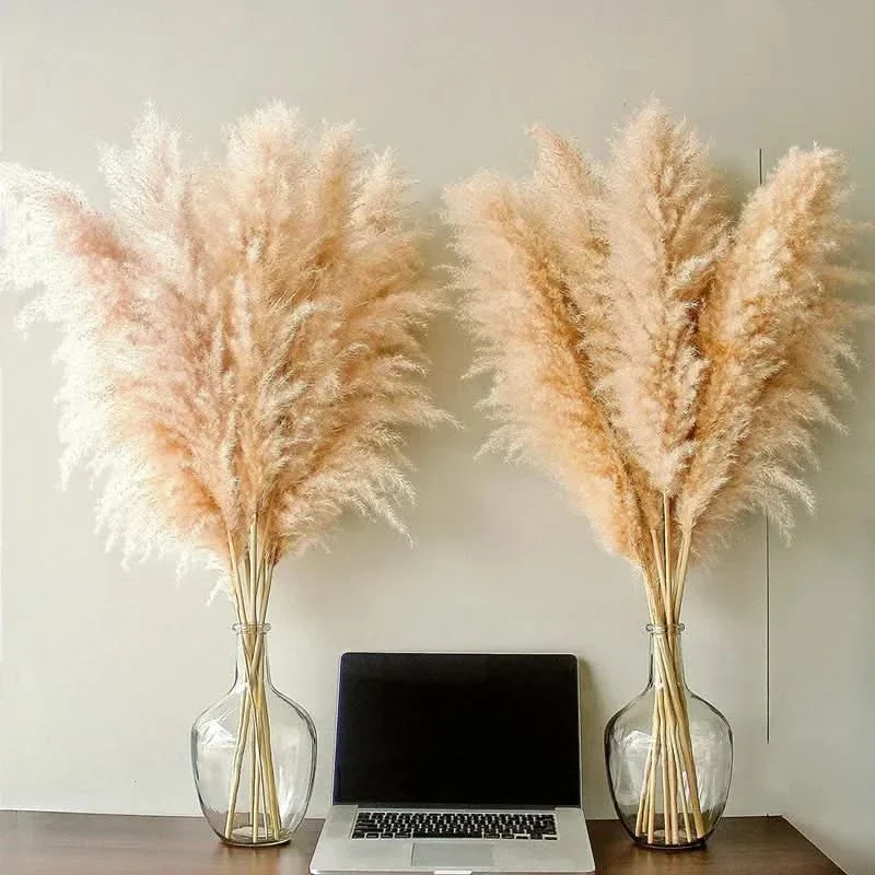 Decoratieve Pampasgrassen 65cm – Kunstdecoratie Boho Stijl voor Vaas Interieur Woonkamer Scandinavisch | Sansoti