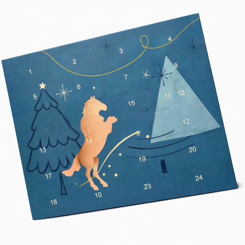 Adventskalender Paardensport 24 Verzorgingsproducten Accessoires Stabiel Rijden Paardenliefhebbers Kerst | Sansoti