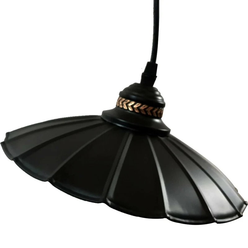 Einzelner Kopf Decken-pendelleuchte schwarz für wohnzimmer ~1591