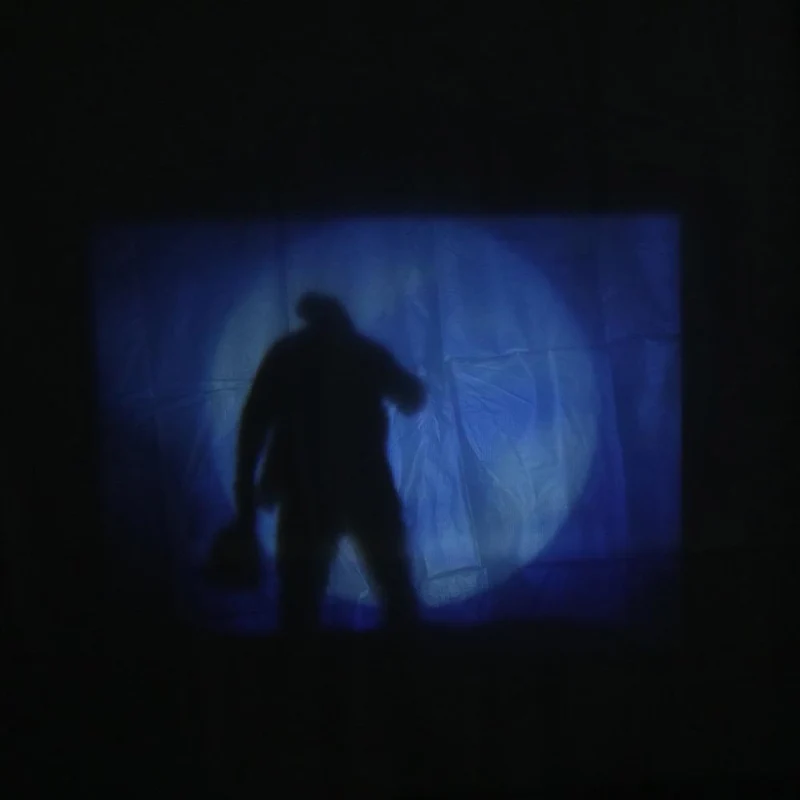 Raamprojectie Bewegende Animaties Feestdagen Kerst Halloween LED Projectieapparaat binnen buiten 12 scènes | Sansoti