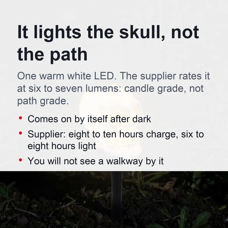 Solar Schedel Tuinlamp met Raaf Decoratie Padverlichting Halloween LED Buitenlamp Zonnecel Waterdicht | Sansoti