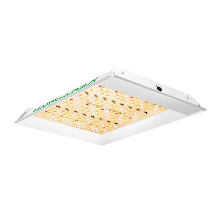 Mars Hydro TS 600 Essential 100W Vollspektrum-LED-Wachstumslampe