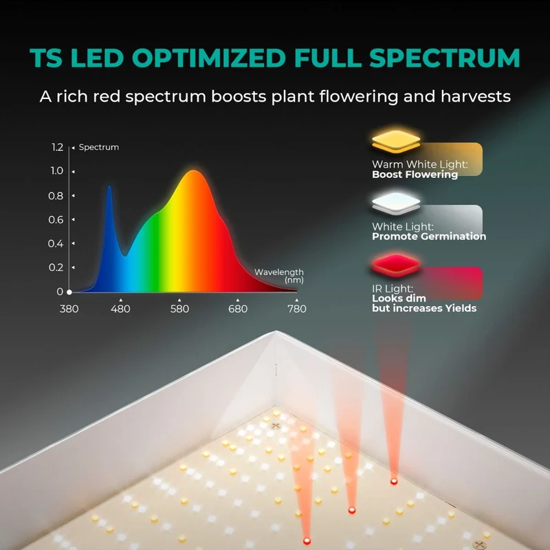 Mars Hydro TS 600 Essential 100W Vollspektrum-LED-Wachstumslampe