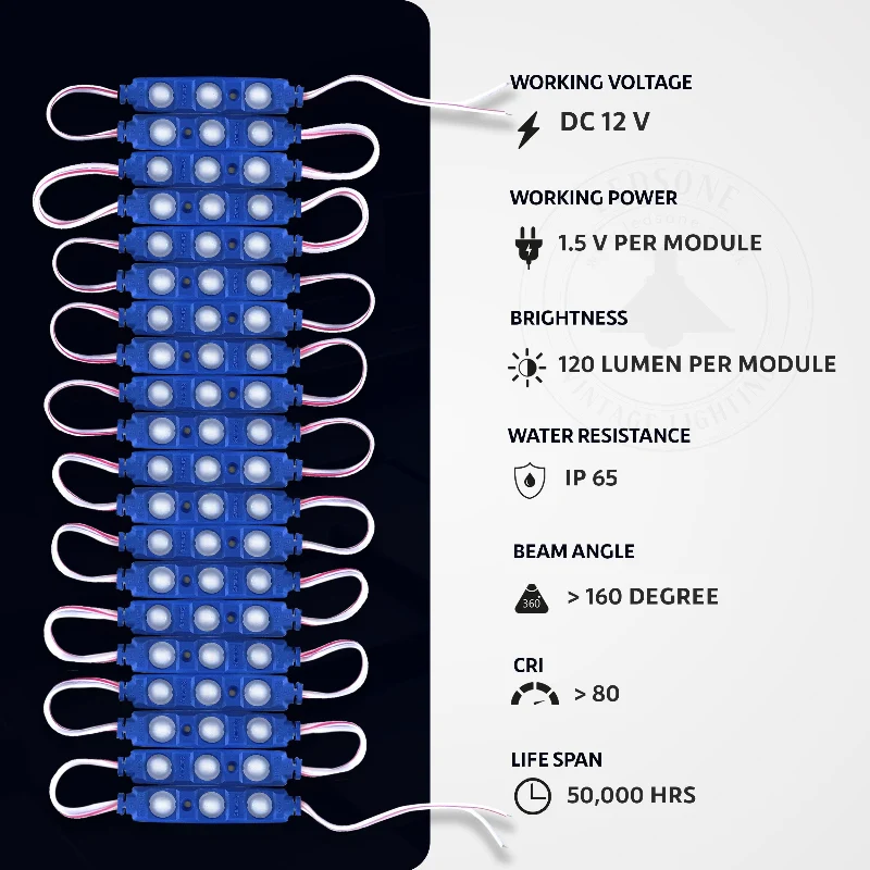 Blaue 12V LED Module IP65 Wasserdicht SMD ~1752