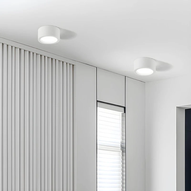 Ronde Plafondlamp Opbouw LED Verstelbaar Lichtkleur Zwart Wit 10-18 cm Woonkamer Hal Gang Keuken Slaapkamer | Sansoti