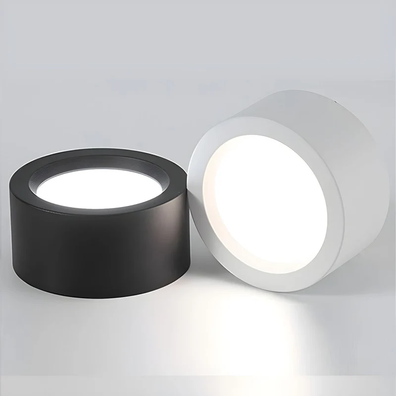 Ronde Plafondlamp Opbouw LED Verstelbaar Lichtkleur Zwart Wit 10-18 cm Woonkamer Hal Gang Keuken Slaapkamer | Sansoti
