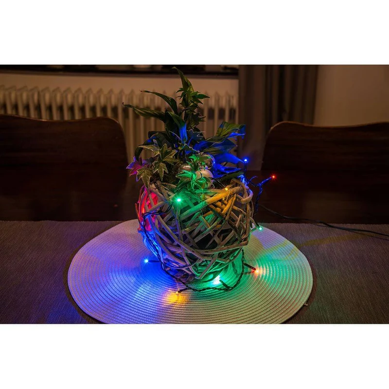 5m Micro LED Lichterkette 10 bunte Dioden
