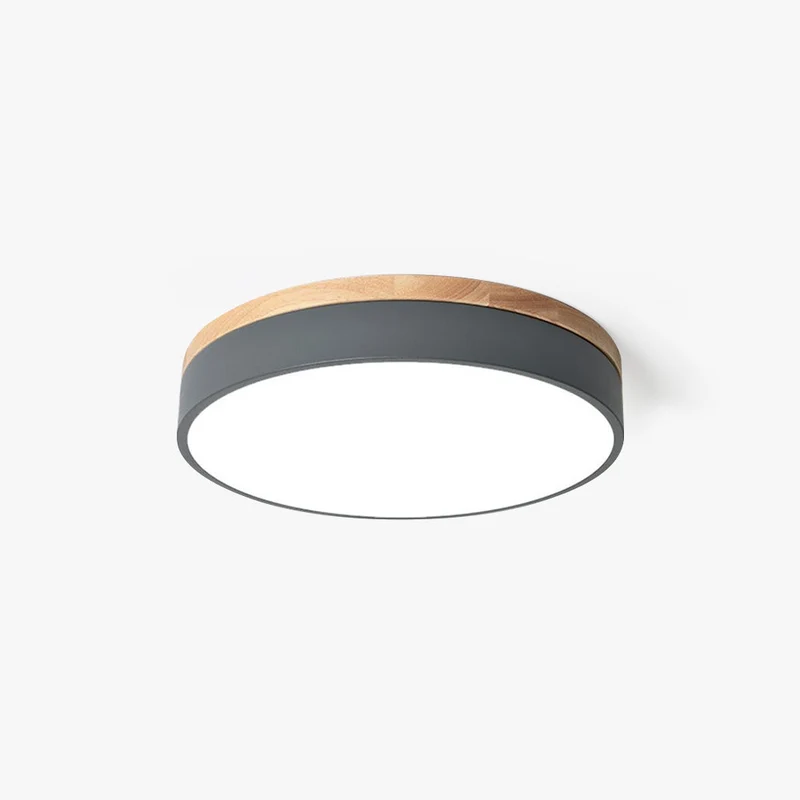 Ronde LED Plafondlamp Dimbaar met 3 Lichtinstellingen Modern Design voor Woonkamer Slaapkamer Keuken Hal | Sansoti