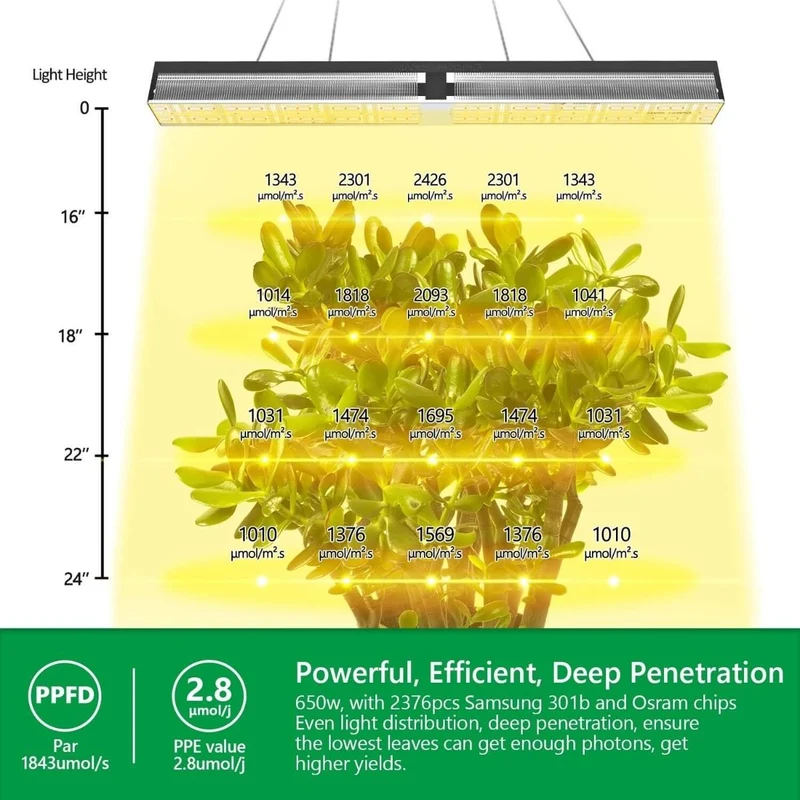 Mars Hydro SP 6500 Samsung LM301B 650W LED-Wachstumslampe für Gewächshäuser