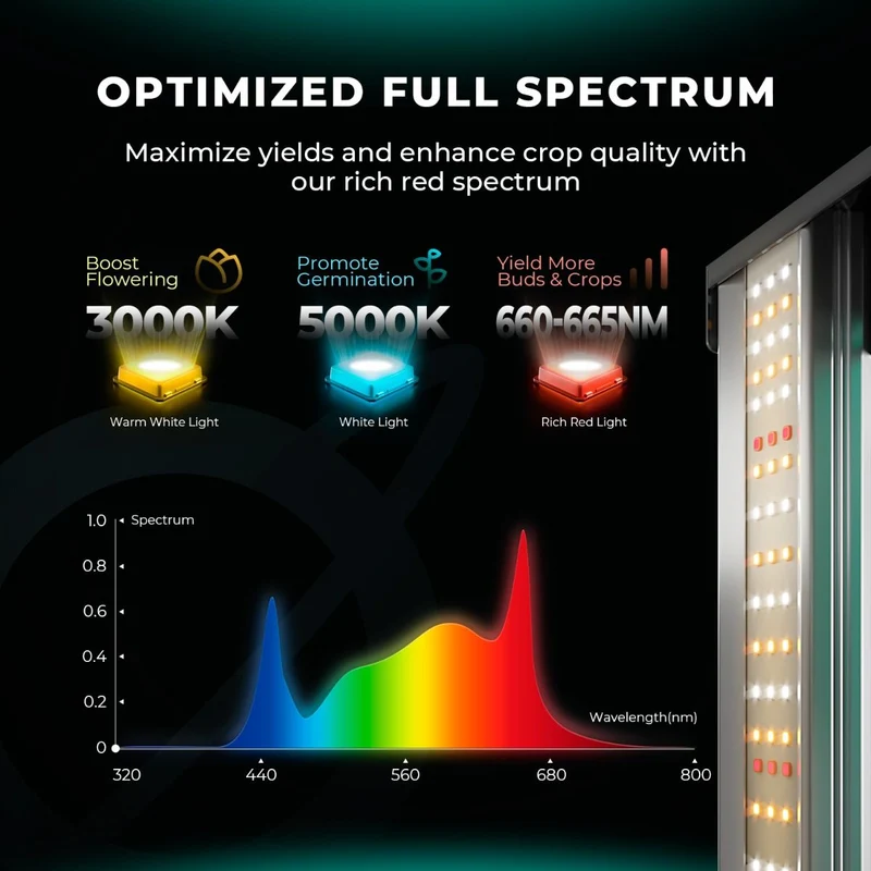 Mars Hydro FC 1000W-EVO Smart LED Pflanzenlampe Samsung LM301H EVO CO2 kommerzielle Lampe