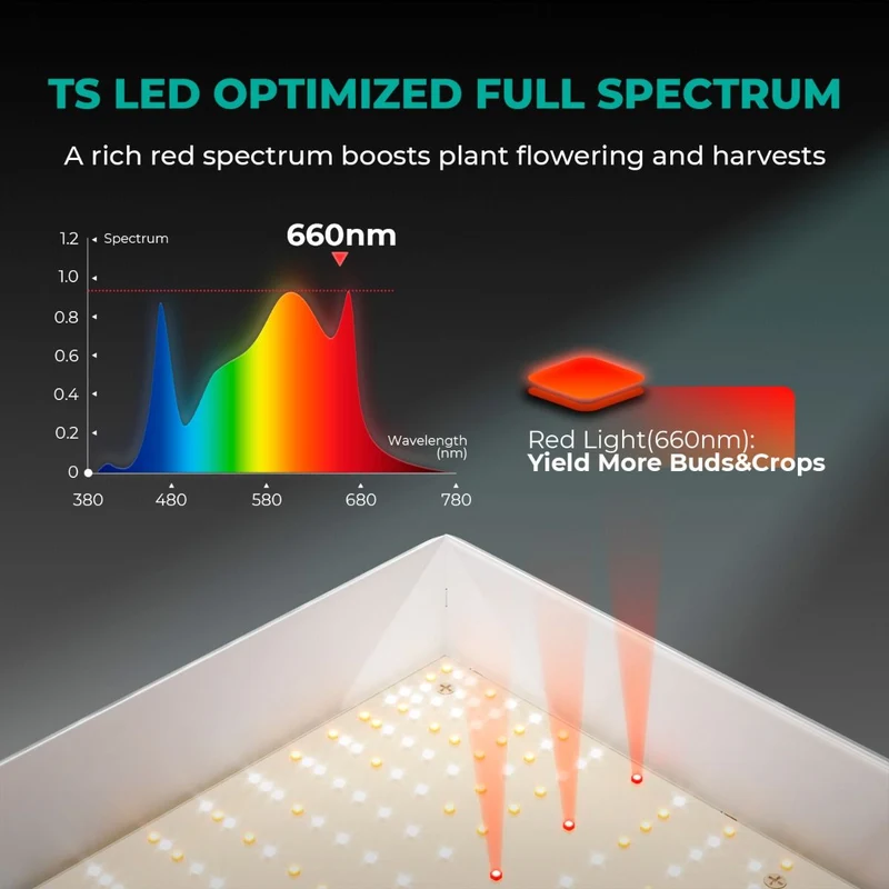 Mars Hydro TSW 2000 Vollspektrum 300 W Dimmbares LED-Wachstumslicht für 4x4-Zelt-Bepflanzung mit hoher Dichte
