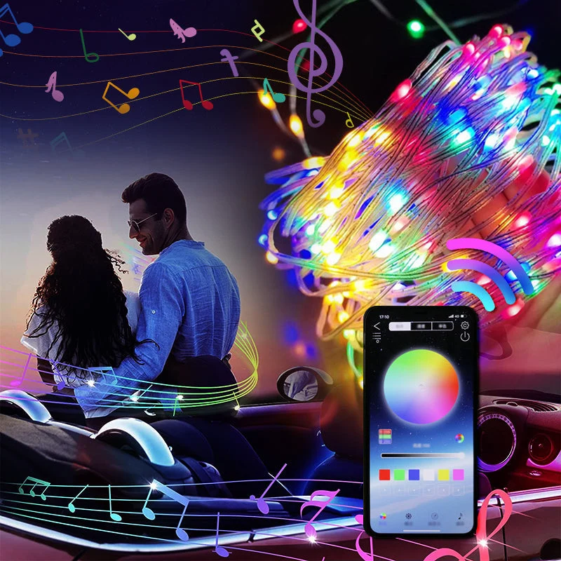 LED Snoerverlichting met Muziekfunctie Afstandsbediening Kleurrijk Smart Lichtdecoratie voor Feesten Buiten | Sansoti