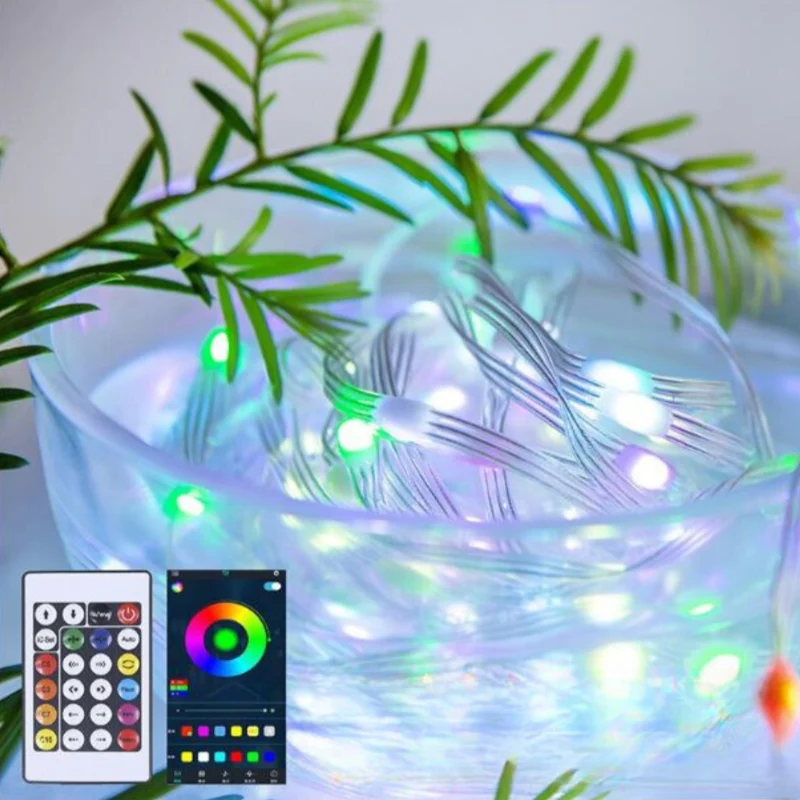 LED Snoerverlichting met Muziekfunctie Afstandsbediening Kleurrijk Smart Lichtdecoratie voor Feesten Buiten | Sansoti