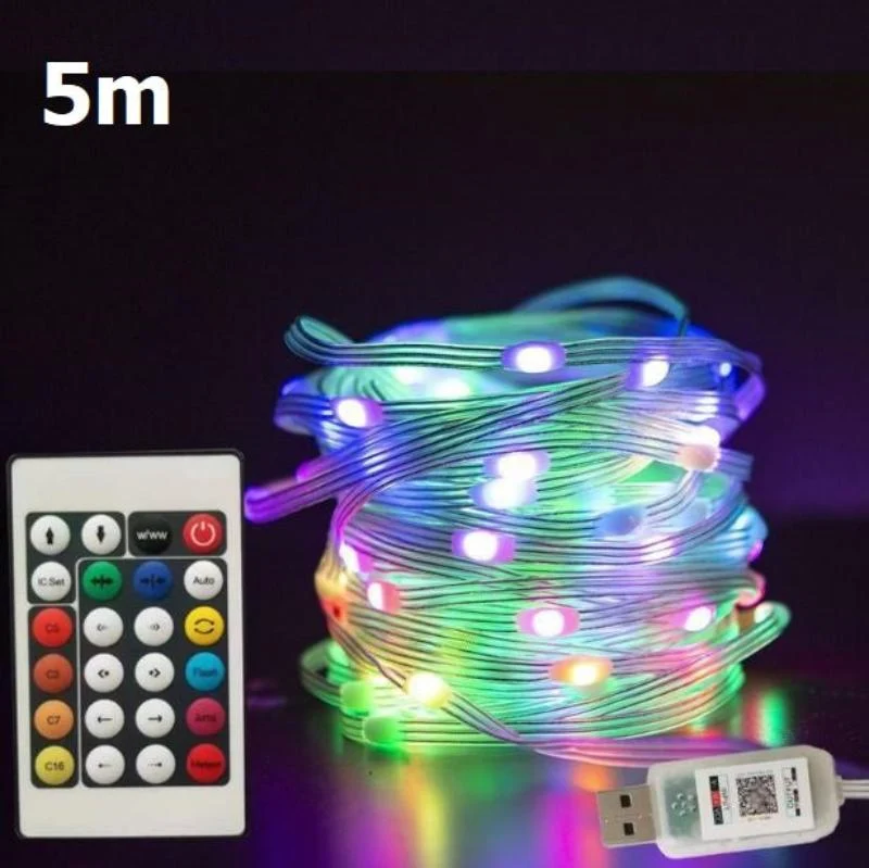 LED Snoerverlichting met Muziekfunctie Afstandsbediening Kleurrijk Smart Lichtdecoratie voor Feesten Buiten | Sansoti