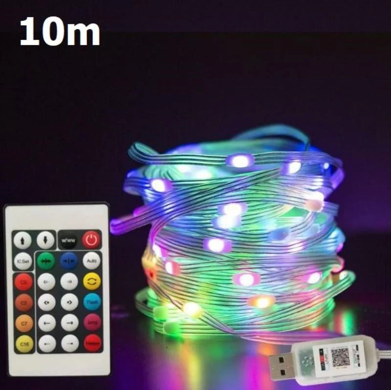 LED Snoerverlichting met Muziekfunctie Afstandsbediening Kleurrijk Smart Lichtdecoratie voor Feesten Buiten | Sansoti