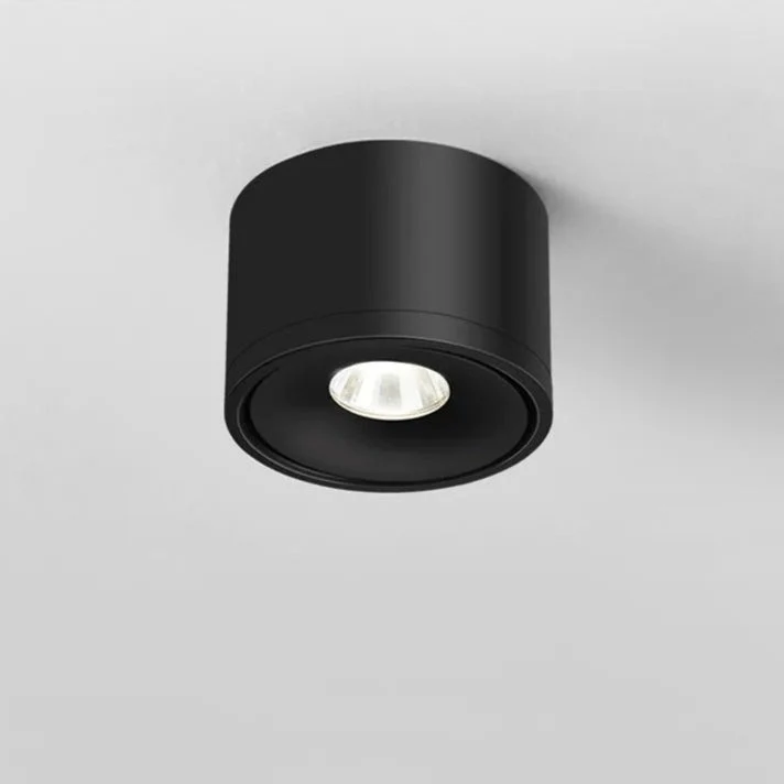Verstelbare plafondspot met 360° draaibare spotkop zwart wit moderne opbouwverlichting voor woonkamer | Sansoti
